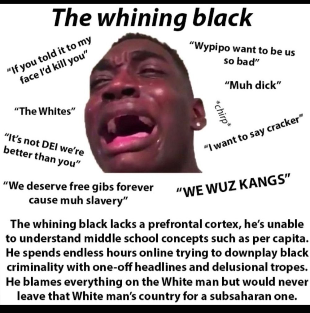 AllBlacksRDumb's tweet photo. @Hoppo330 @WhiteyPowers83 this guys being a nigger https://t.co/IeYkqkASDQ