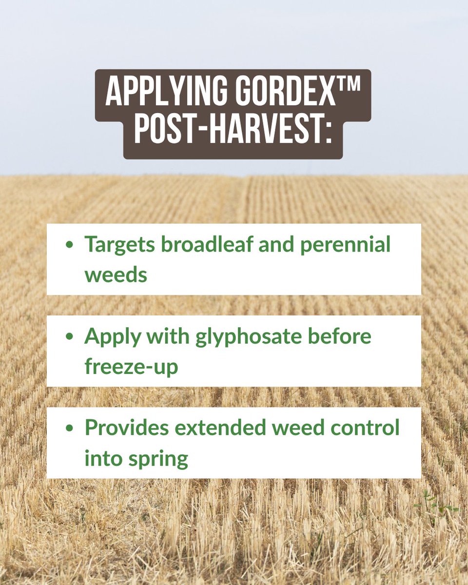 SWT's tweet photo. Once harvest is done, there may still be work worth doing in the field.

If you’re seeding wheat, durum, oats or barley next spring, talk to the team at SWT about how GORDEX™ fits your fall weed management plans. https://t.co/LzZT75zK8D