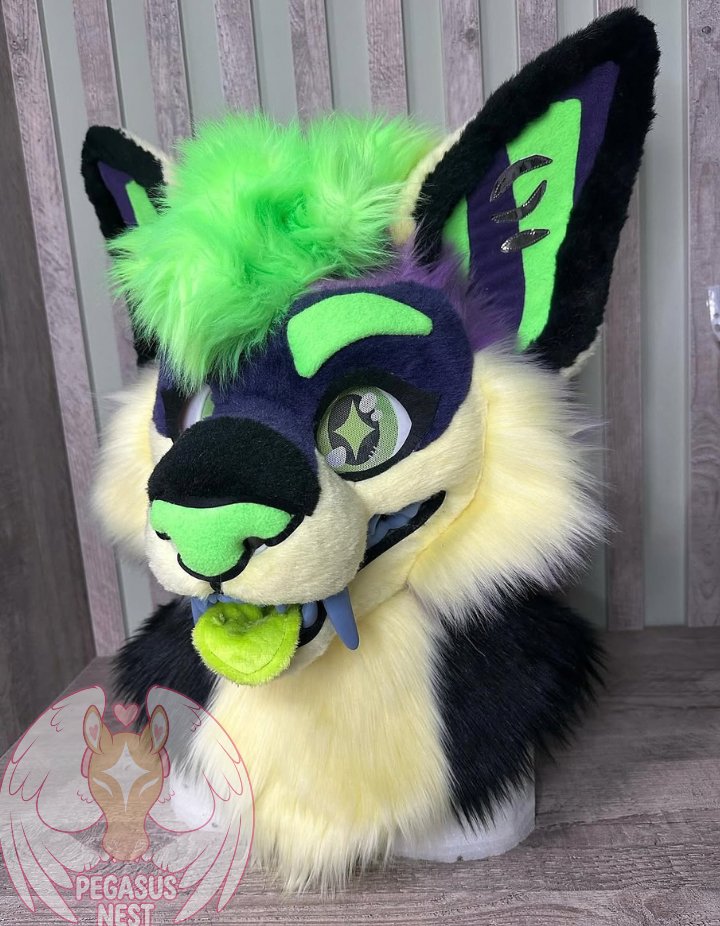 pegasusnest's tweet photo. Fursuit Green Storm is ready! For sale!
#fursuit #fursuiter #fursuitmaker #fursuits #fursuitforsale #fursuitsale #fursuiting https://t.co/gMKubbrCjg