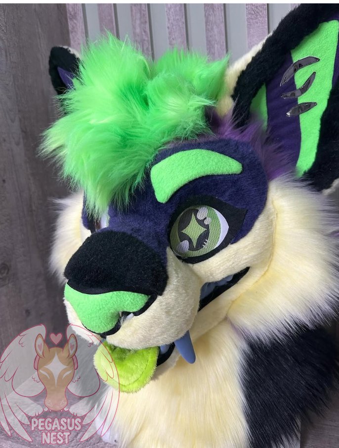 pegasusnest's tweet photo. Fursuit Green Storm is ready! For sale!
#fursuit #fursuiter #fursuitmaker #fursuits #fursuitforsale #fursuitsale #fursuiting https://t.co/gMKubbrCjg