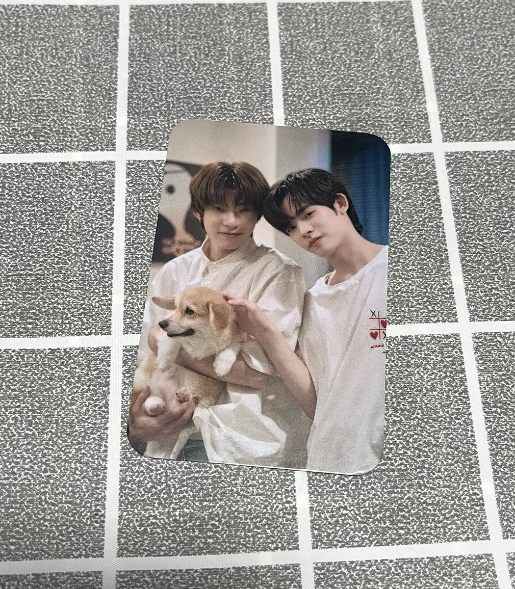 pipnarakbubu's tweet photo. WTS|ขายการ์ดตี๋ตี๋ป๋อ ขนฟู ไฟนอลอีพีด้วง💟

- 450฿รวมส่ง

#ตลาดนัดตี๋ตี๋ป๋อ #ตลาดนัดดูมันดิ #ตลาดนัดdmd #ตลาดนัดด้วงกับเธอ #ตลาดนัดดมด https://t.co/jayLUMzbMu