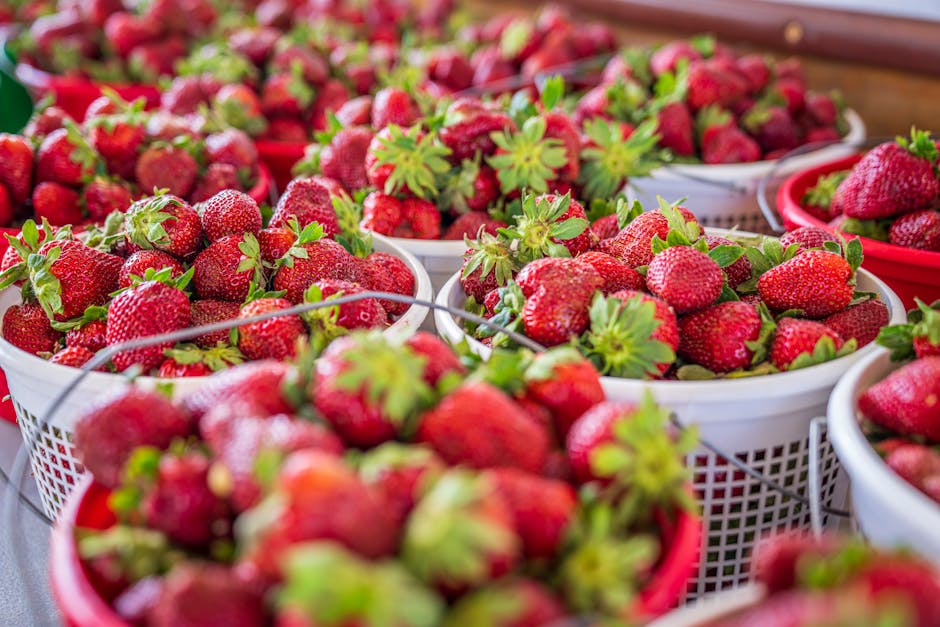 JoseChavezzj's tweet photo. أتمنى لك النجاح في قهر شكرا من أحلامك. لكوني جزءًا أساسيًا رحلتي يا صديقي. bradford chirafisi https://t.co/daGBMOQQ58