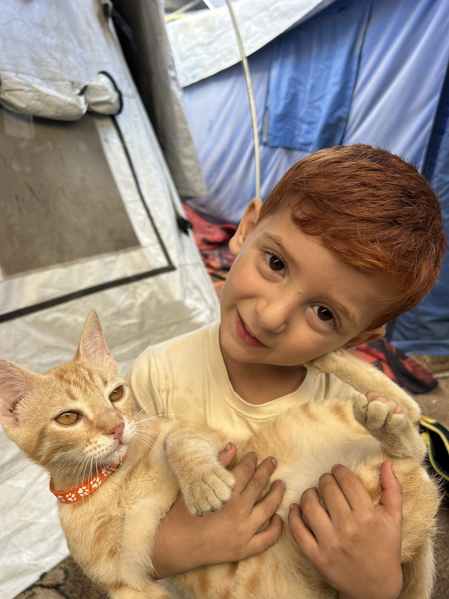 Amrogaza1's tweet photo. Amro and his bestie Kalamantina 🐈🥹❤️ https://t.co/9WdGnrDpwE