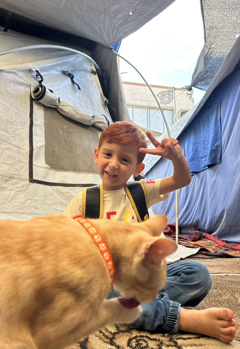 Amrogaza1's tweet photo. Amro and his bestie Kalamantina 🐈🥹❤️ https://t.co/9WdGnrDpwE