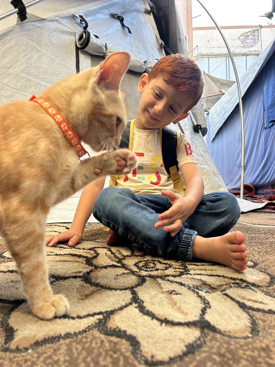 Amrogaza1's tweet photo. Amro and his bestie Kalamantina 🐈🥹❤️ https://t.co/9WdGnrDpwE