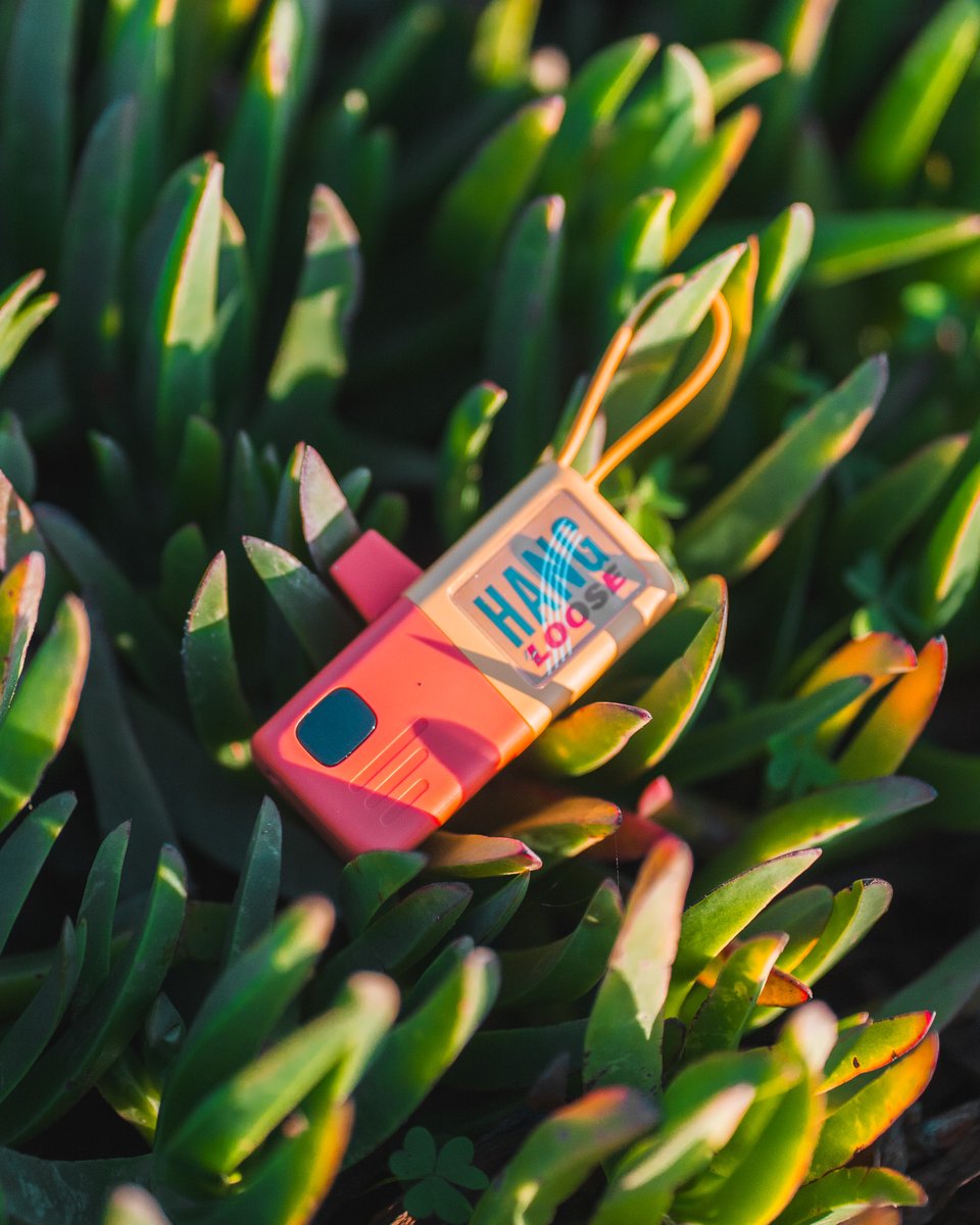 asian_goat's tweet photo. Meet the X Mobile—compact power made for days that don’t stand still. Plug it in, power up, and keep moving without the extra cables or bulk.
Get yours: https://t.co/V6BSFGAt4L
#XYZtech #XMobile #PowerYourNextMove #PortablePower #MiniPowerBank #PocketPower #TravelEssentials https://t.co/pSBj67Pb9N
