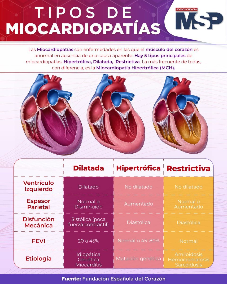 RevistaMSP's tweet photo. #MSPCardiología | Miocardiopatías: diferentes formas de afectar al músculo del corazón. ❤️🩺 https://t.co/q8kPlmMBMY
#MSP El lugar donde médicos, pacientes y profesionales de la salud pueden entrar
#SomosCiencia #LíderDigital https://t.co/DItXguNcMi