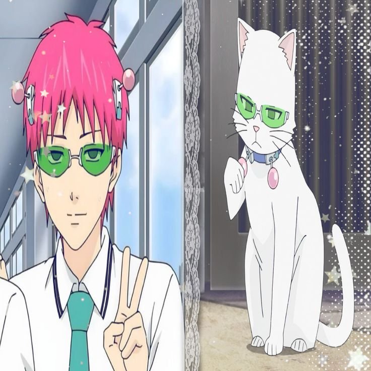 LunarSuki09's tweet photo. @Maxyy1sp3rf3ct2 LOL. I can tell that after that their ACC was banned or just censored 😭 https://t.co/hYtawCLHzX