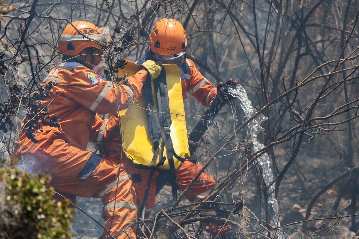 DefensaCivilCo's tweet photo. #Boyacá | La valentía, disciplina y solidaridad de nuestros voluntarios y funcionarios fueron fundamentales para enfrentar las llamas y proteger a la comunidad. 🔥🛡️
#Sismo https://t.co/B73KNMnTCK