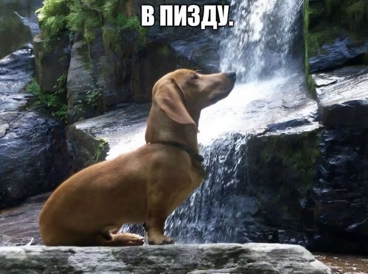 klessamrtt's tweet photo. ьля как учить эту ебанную алгебру https://t.co/59M0FcAQ1x