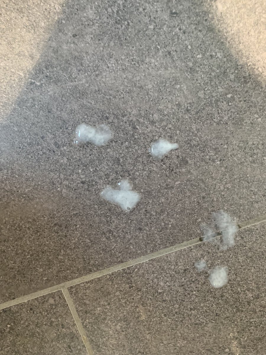 Jamesdqso's tweet photo. Spunked on the bathroom floor. Only way to start the week off right! #load #cum #horny #gay #trans #femboy https://t.co/N9MT7A1zSU