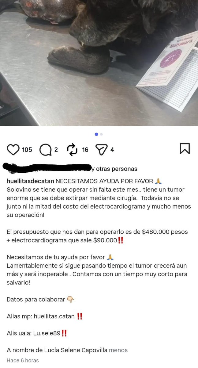 pezlitio's tweet photo. @PandillaValeria Me ayudan a compartir? Instagram huellitasdecatan https://t.co/R75XftSkRC
