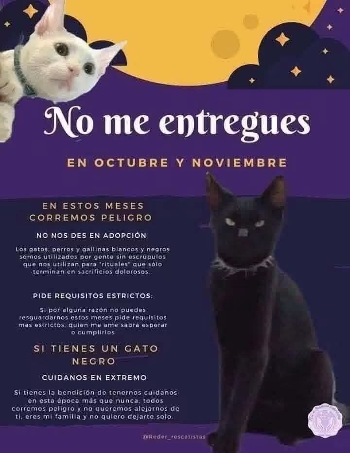 Igclaf7's tweet photo. #NoMeEntregues https://t.co/3RZNrRCneH