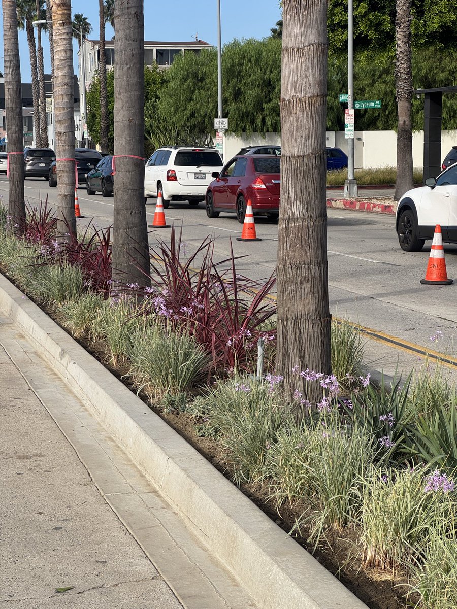 _MattHuff's tweet photo. New planted medians going in on W Washington Blvd in Culver City!
(near the Costco)

A 20yr project that aims to reduce blight, lower vehicle speeds &amp; turning conflicts, and will add a massive stormwater capture &amp; treatment under Glencoe Avenue ahead of the upcoming El Niño! https://t.co/9JjCGTlUbY