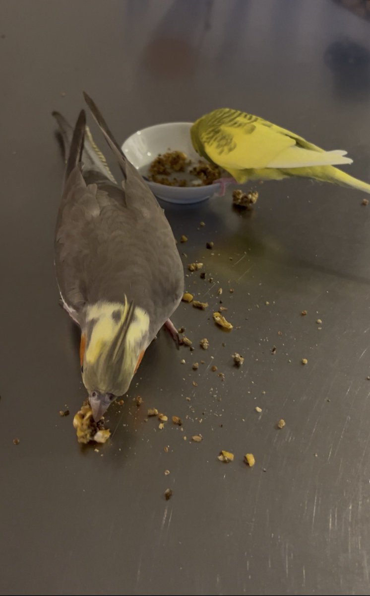 larryburb's tweet photo. Eloise and Elliot outside time https://t.co/YszoQhUJqy