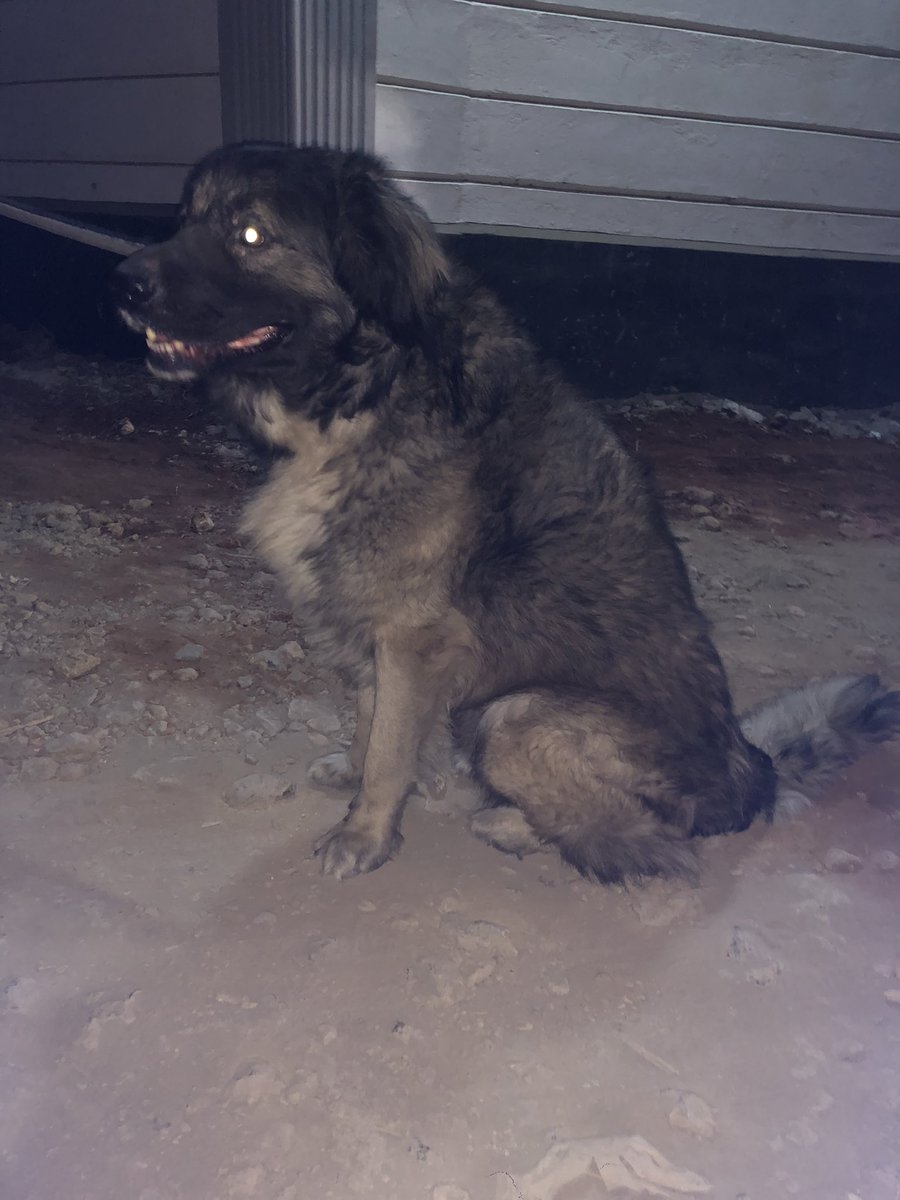 MutugiAnthony's tweet photo. A sharp boy’s security https://t.co/0BkH0ef1e6