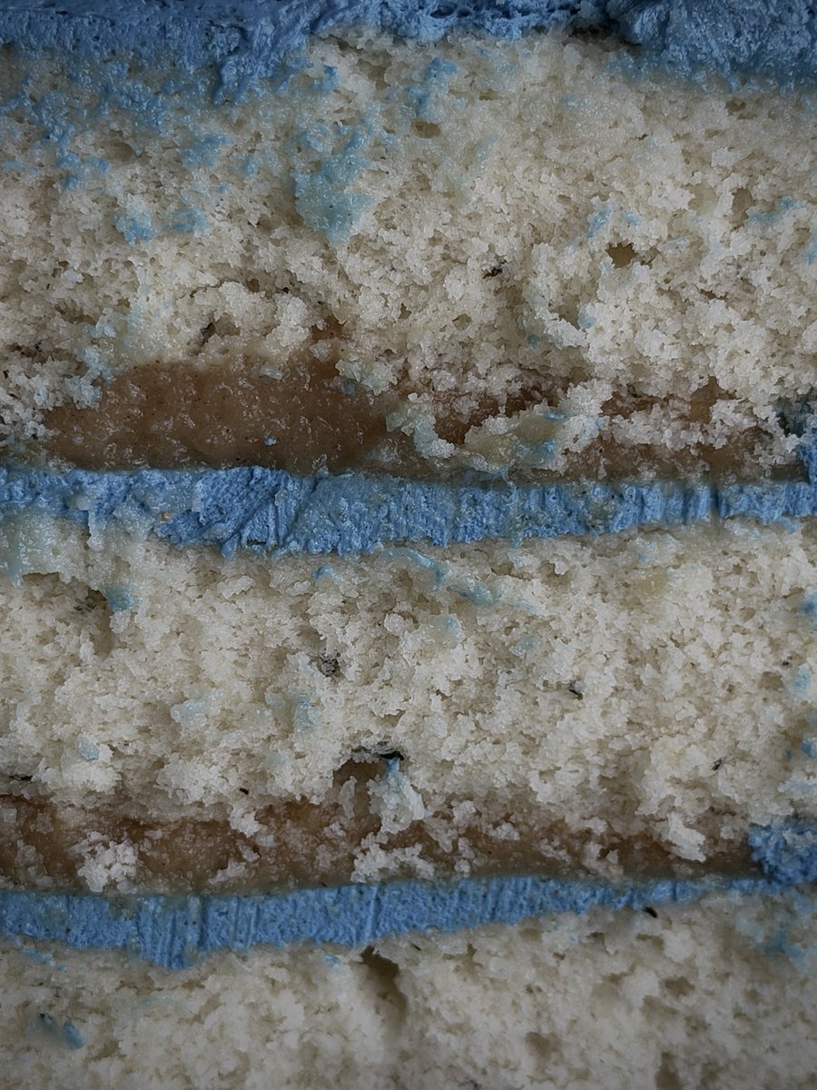theclovecoterie's tweet photo. For Libra season: Toasted thyme vanilla bean sponge, vanilla milk cake soak, cinnamon apple curd, burdock root &amp; toasted milk Swiss meringue buttercream, dyed blue with spirulina. Full recipe up now ♎️ https://t.co/ui6XY3mOXT