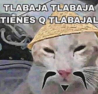 ReprovedClaw's tweet photo. @Komodoro8o https://t.co/Gw1TiPdvwK