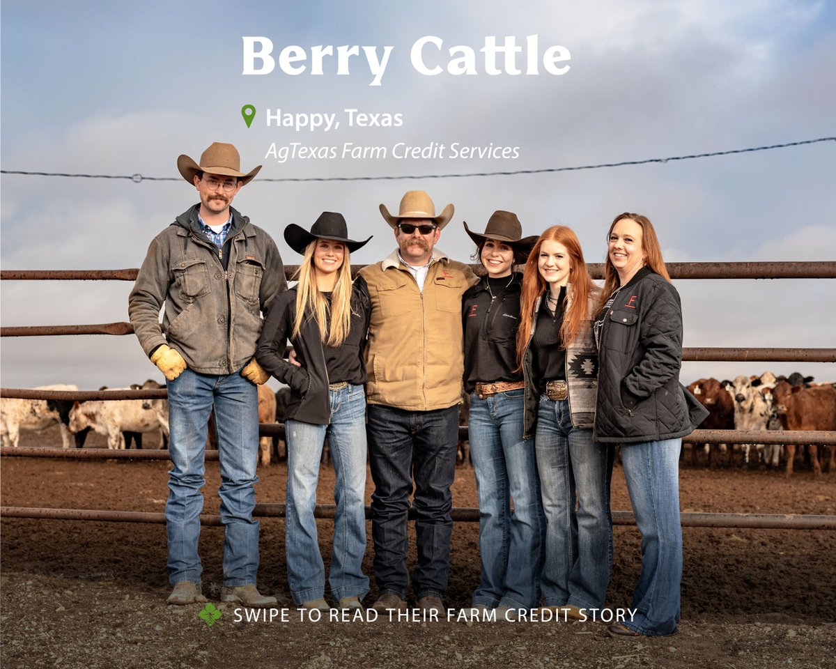 farmcredit's tweet photo. Happy, Texas has been home to Berry Cattle since 2009. Just as owners Levi and Jesse Berry are committed to providing quality beef to the food supply, @AgTexasFCS is committed to supporting them with reliable credit and risk management solutions. 

Read the Berry family story ↪️ https://t.co/3znXjIGR0G
