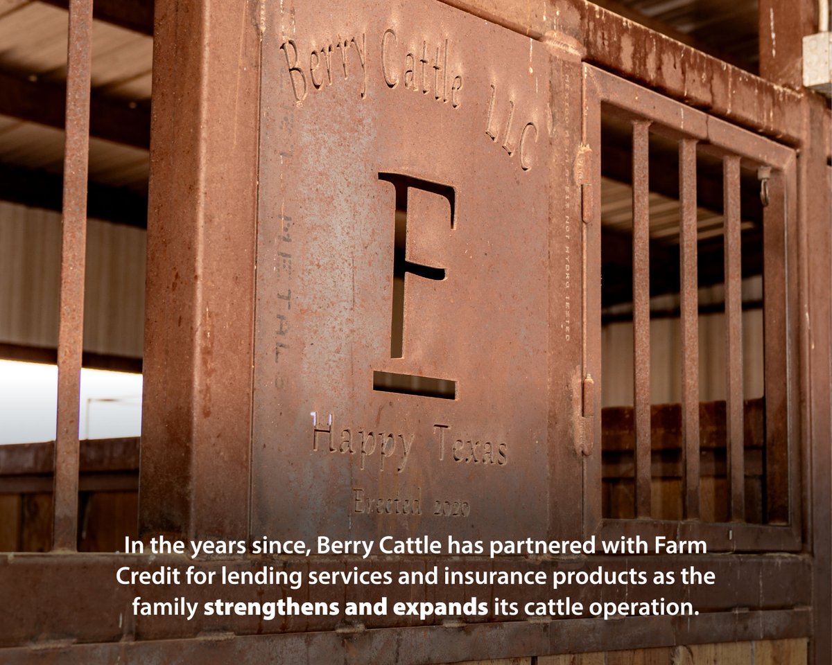 farmcredit's tweet photo. Happy, Texas has been home to Berry Cattle since 2009. Just as owners Levi and Jesse Berry are committed to providing quality beef to the food supply, @AgTexasFCS is committed to supporting them with reliable credit and risk management solutions. 

Read the Berry family story ↪️ https://t.co/3znXjIGR0G