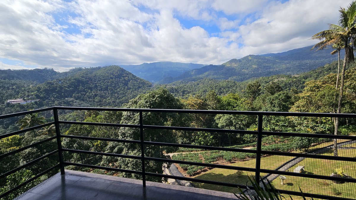 pritishposwal's tweet photo. View from balcony of my resort in Munnar https://t.co/jWMc7zg0nE
