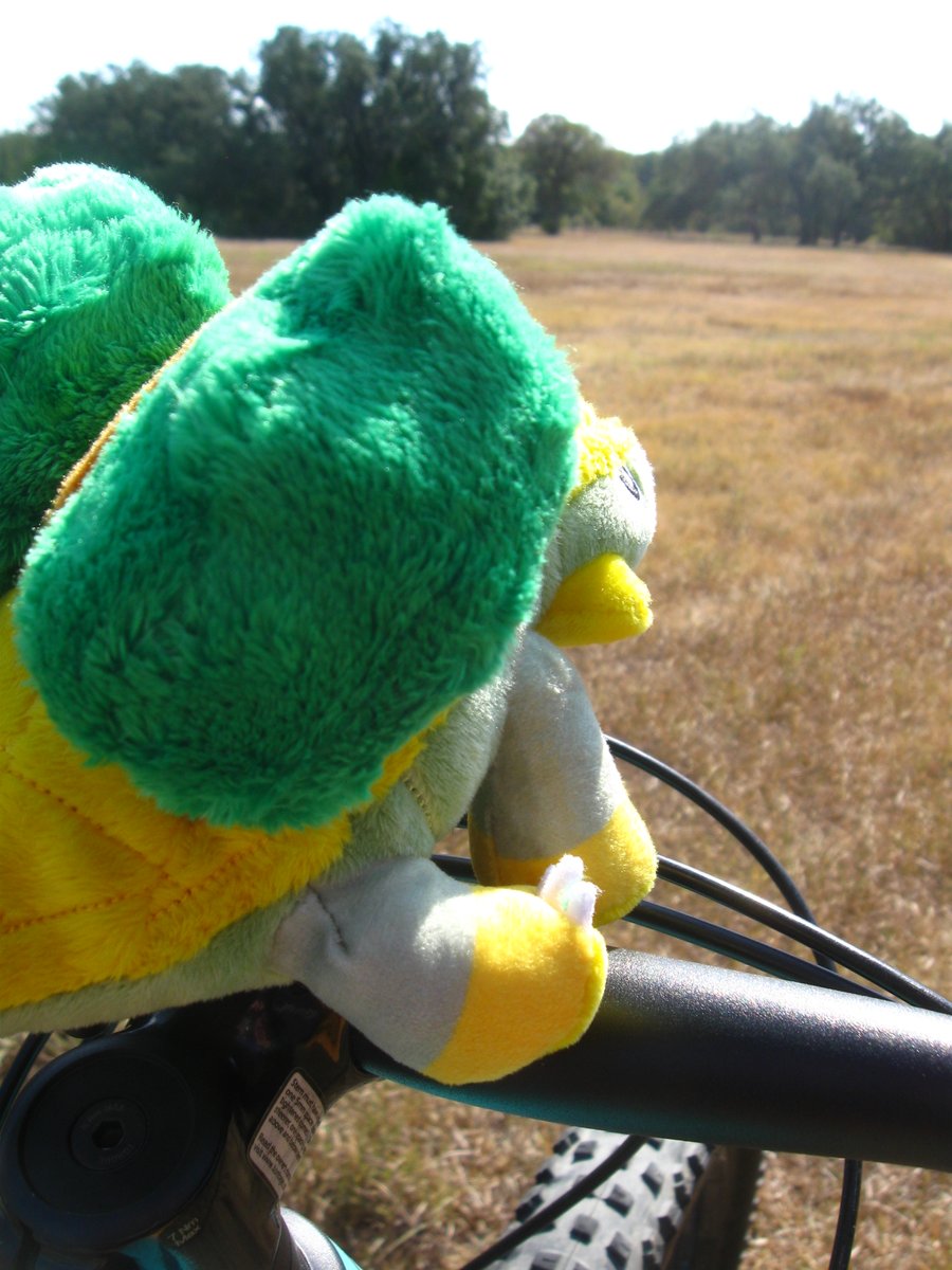TheAbsol's tweet photo. Woke up to the legendary Grotle this morning, so we went for a bike ride and got some food https://t.co/q2Mem29zO5