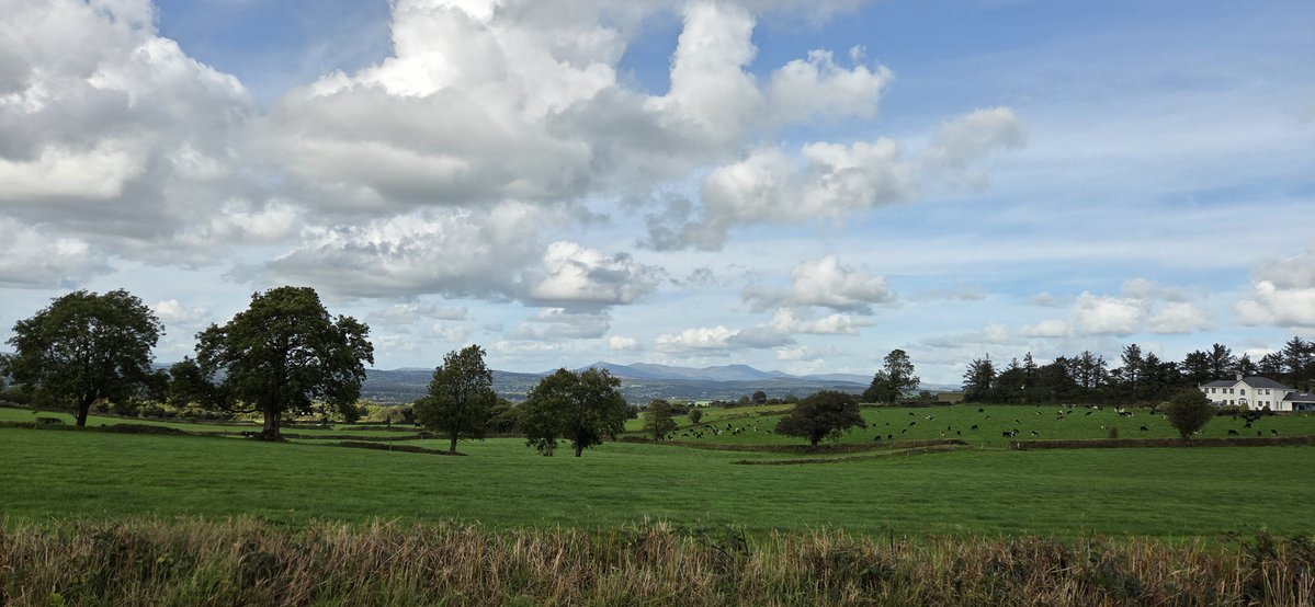 fitzyok's tweet photo. Lá breá chun siúil inniu agus na Galtees go soiléir le feiscint(good walking day and the Galtees clear to see). An bhfuil aon chuimhneamh ag an bhféar stop ag fás(grass any notion of stopping to grow)🤔😳 Cupán caife☕️ agus scón🥮 deas 😋
#365daysofGaeilge
#365daysofwalking https://t.co/qF84sSTQQA