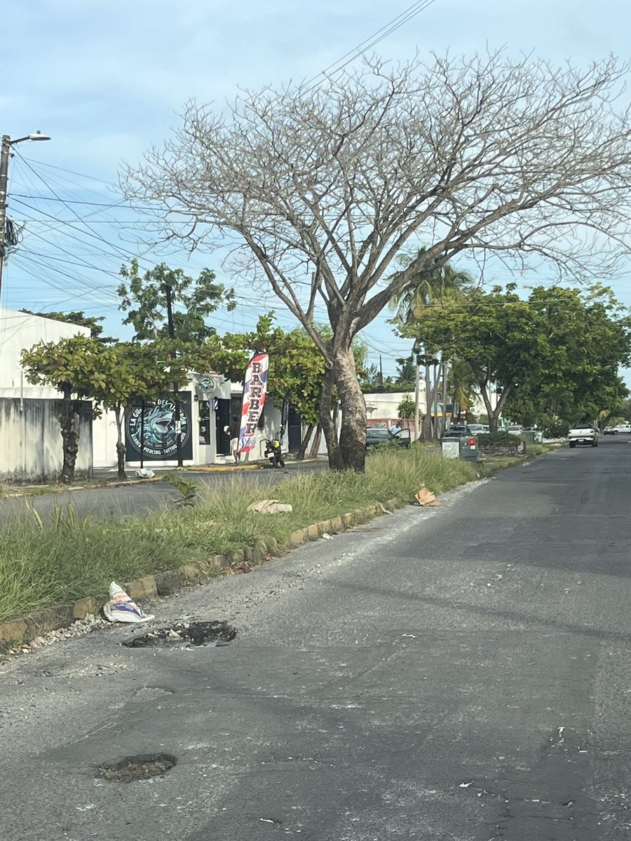 Oz_Rivera's tweet photo. @AyuntamientoVer Favor de enviar cuadrilla de bacheo a calle Paseo de los Juncos entre calle Ahuehuete y Paseo de los Ébanos, existen múltiples baches que cada día se hacen más grandes. adjunto evidencia. https://t.co/o6xUEs3tqX