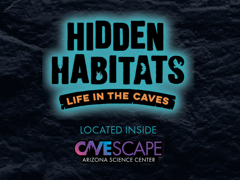 azsciencecenter tweet picture