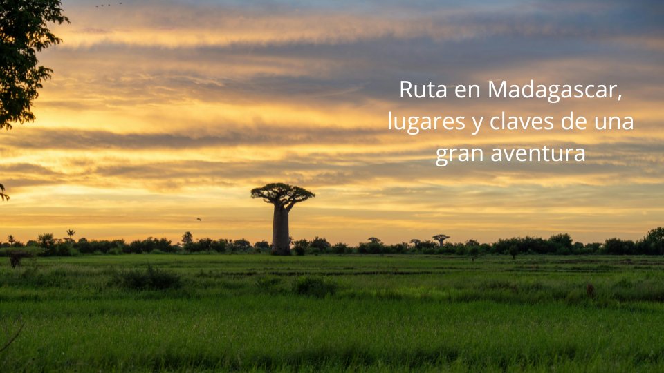 GerardoCoronaG's tweet photo. Afirman de Madagascar que resulta demasiado asiática para ser africana y demasiado africana para ser asiática.
https://t.co/L0wagywqjE https://t.co/9Kd4YBm2ox