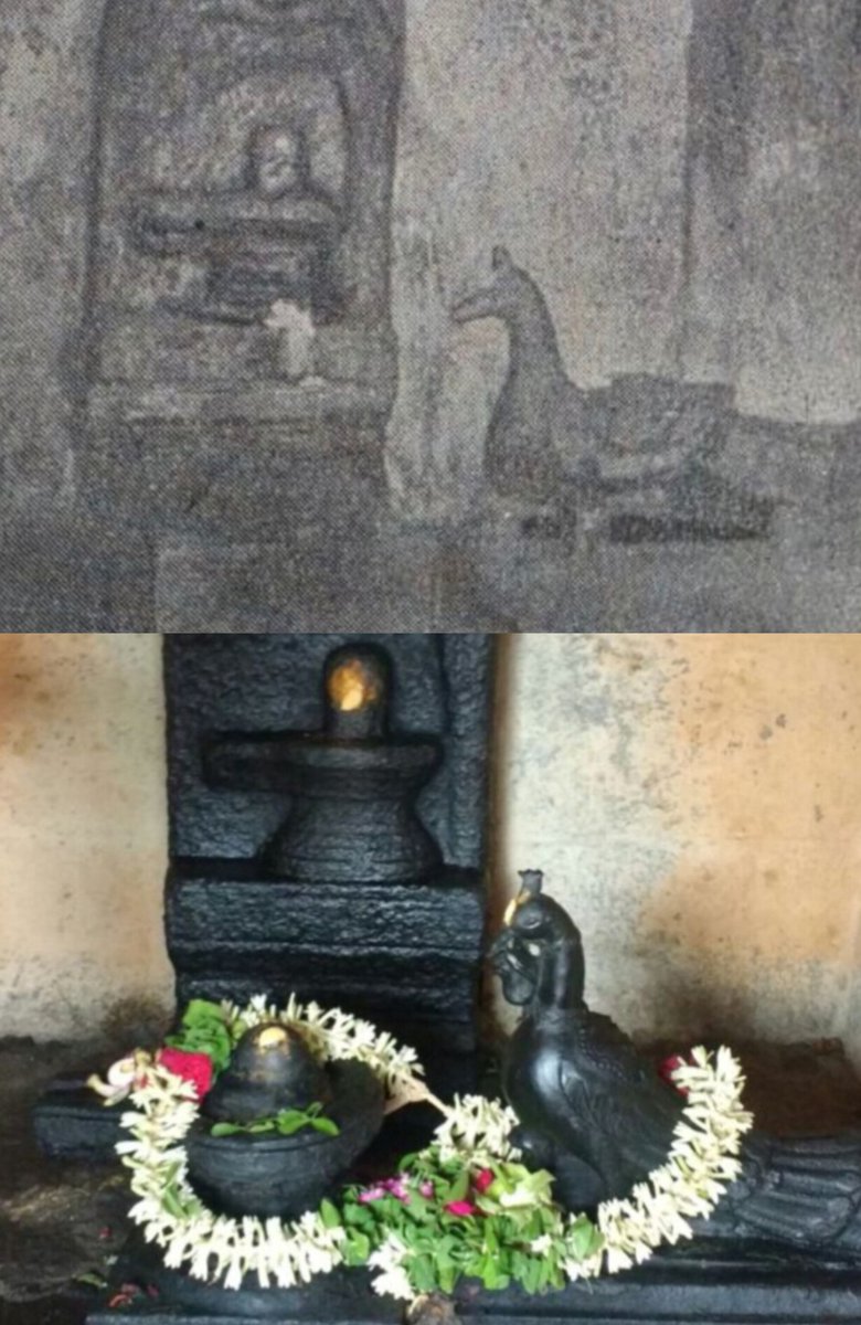 OurTemples's tweet photo. சிவனடியார்களுக்கு ஒரு நீண்ட பதிவு. பொறுமையுடன் படிக்கவும்

மயிலாப்பூர் கபாலீஸ்வரர் கோவில் குறித்து இனிமேலாவது சிவனடியார்கள் வாய் திறந்து பேசி தங்களிடம் இருக்கும் புகைப்படத்தை எனக்கு அனுப்பி வைப்பார்களா என்று தெரியாது. 

அனுப்பி வைத்தால் யார் அனுப்பினார் என்கிற விவரத்தை வெளியிலே சொல்லாமல் இருப்பேன் என்று உறுதி கூறுகிறேன். 

இவர்கள் கொடுத்தாலும் கொடுக்கவில்லை என்றாலும் வேங்கட முதல் குமரி வரை என்கிற ஒரு புத்தகத்திலே இதன் முதல் பதிப்பிலே இந்த கோவிலுக்குச் சென்ற திரு பாஸ்கர தொண்டைமான் என்கிறவர் இந்த சன்னதியில் எடுத்த புகைப்படம் இன்று காவல்துறையில் இருக்கிறது அது ஒரு முக்கிய ஆதாரமாக இருக்கிறது. 

இன்று ஒரு நூலகத்தில் இருந்து இந்த முதல் பதிப்பு புத்தகத்தை எடுத்து அதிலிருந்து கீழே கொடுத்துள்ள புகைப்படத்தில் மேல் பகுதியில் உள்ள 2004 க்கு முன்பே இருந்த மயில மன்னனின் புகைப்படம் எனக்கு கிடைத்தது. 

கீழே இருக்கும் புகைப்படம் 2018ல் எடுத்தது.

இன்று வேங்கட முதல் குமரி வரை என்கிற புத்தகத்தை கடையில் நீங்கள் வாங்கினால் அந்த புத்தகத்தில் இந்த புகைப்படம் இருக்காது.  அவ்வளவு ஆழம் திருடியவர்களுடைய கைகள். 

சீப்பை ஒழித்து வைத்து விட்டால் கல்யாணம் நின்றுவிடும் என்று நினைத்தார்கள் போலும். 

இன்றளவும் உச்ச நீதிமன்றத்திலும் கூட தனி மனிதனாக இந்த கோவிலுக்கு நடந்த அநீதிக்கு நீதி கேட்டு வாதாடி கொண்டு நிற்கிறேன். 

அப்படி ஒரு மயிலே அந்தக் கோவில் இல்லை என்றும், மயில் இருந்தது ஆனால் அதன் வாயில் பாம்பு தான் இருந்தது என்றும், பூ வைத்திருந்த மயிலை 2004க்கு முன்னாலேயே வேறு யாரோ மாற்றிவிட்டார்கள் என்றும், மயிலா அப்படி என்றால் என்ன என்றும், அந்த சன்னதி பக்கம் தான் சென்றதே இல்லை என்றும், அந்த சிலை வெறும் 150 ரூபாய் கூட பெறாது என்றும், ஊரில் இருப்பவர்கள் யாருமே குறை சொல்லாத போது 350 km அப்பால் ஸ்ரீரங்கத்தில் இருக்கும் ஒருவன் அவனுக்கும் இந்த கோவிலுக்கும் துளியும் சம்பந்தமில்லை அவன் எப்படி இதைப்பற்றி சொல்லலாம் என்றும், இப்படி எக்கச்சக்கமாக வாதங்கள் நடந்து கொண்டிருப்பது இதை பார்க்கும் ஒரு சிலருக்கு தெரியுமே ஒழிய பலருக்கு தெரியாது. 

தன்னை சிவனடியார் என்று சொல்லிக் கொள்ளுகிற ஒவ்வொருவரும் தன் மனதை தொட்டு தான் உண்மையிலேயே சிவனடியார் தானா என்ற கேள்வியை கேட்பார்களா? 

அல்லது 22 வருடங்களாக வாய்மூடி இருந்தது போலயே இனிமேலும் வாய்மூடி இருந்து வெளியிலே நெற்றியிலே பட்டயம் கழுத்திலே கொட்டையுமாக தன்னையும் ஏமாற்றிக் கொண்டு ஊரையும் ஏமாற்றிக் கொண்டு வாழ்வார்களா என்கிற கேள்விக்கு பதிலை அவர்களிடமே விட்டு விடுகிறேன். 

வாய் நிறைய "தென்னாடுடைய சிவனே போற்றி" என்று சொல்லும் சிவனடியார்களும், சிவன் தமிழ் கடவுள் முருகன் தமிழ் கடவுள் என்று சொல்லிக்கொண்டே தெரியும் தமிழ் சைவர்களும் இதுகுறித்து தங்களுடைய கடமையை செய்வார்களா என்பதைப் பற்றி காலம் பதில் சொல்லும்.

எது எப்படியோ. இந்த வழக்கின் அடுத்த விசாரணை அக்டோபர் மாதம் ஏழாம் தேதி எட்டாம் தேதி என்று உச்ச நீதிமன்றம் தீர்மானித்து இருக்கிறது. 

ஏழாம் தேதி அரசு தரப்பில் இருந்து வாதங்கள் வைக்கப்படும். எட்டாம் தேதி என் தரப்பில் இருந்து இதுவரையிலே வைத்திருந்த வாதங்களுக்கு எதிர் வாதம் வைக்கப்படும். 

பக்தர்களுக்கு என்னுடைய வேண்டுகோள் எல்லாம் இது நாள் வரையிலே இது குறித்து வாய் திறக்காமல் இருந்ததற்கு கபாலீஸ்வரர் கோவிலுக்கு சென்று அங்கே வீட்டிருக்கும் கபாலீஸ்வரர் இடம் மனதார வருத்தத்தை தெரிவிக்க வேண்டும் என்பது ஒன்று. 

செய்வதும் செய்யாததும் அவரவருடைய சுதந்திர முடிவு.  அது குறித்து நான் எதுவும் செய்ய இயலாது. 

ஆனால் ஒன்றை மட்டும் சொல்ல முடியும். திருவிளையாடல் புராணம் படித்தவர்களுக்கு இது புரியும்.  சிவபெருமான் எளிதில் எவரையும் தன் அடியானாக ஏற்பதில்லை என்கிற தத்துவமே இது. 

தன் பக்கம் தானா என்று பல விதங்களில் சோதனை செய்து அதில் வெற்றி கொள்பவனை ஆட்கொள்பவன் சிவபெருமான். 

அந்த சிவபெருமானுக்கும் பார்வதி தேவிக்கும் நடந்த அநீதியை குறித்து வாய் திறக்காதவர்களை சோதிக்கவும் வேண்டுமா என்ன?!

ஜெய் ஸ்ரீ ராம்!