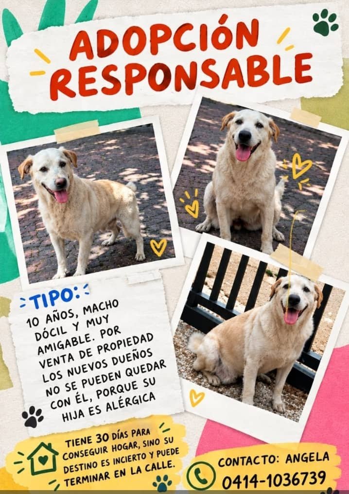 yaracalcagno's tweet photo. En Caracas. https://t.co/U6iJSPUn6C