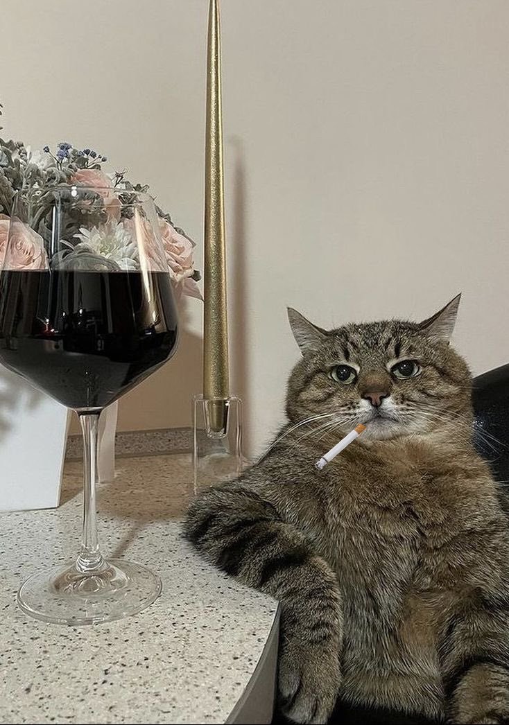 StrayCatSkratch's tweet photo. @TheStourbridge Here's to you, Bolt. May your journey be pleasant and your destination beautiful. https://t.co/LvnsE2fJSj
