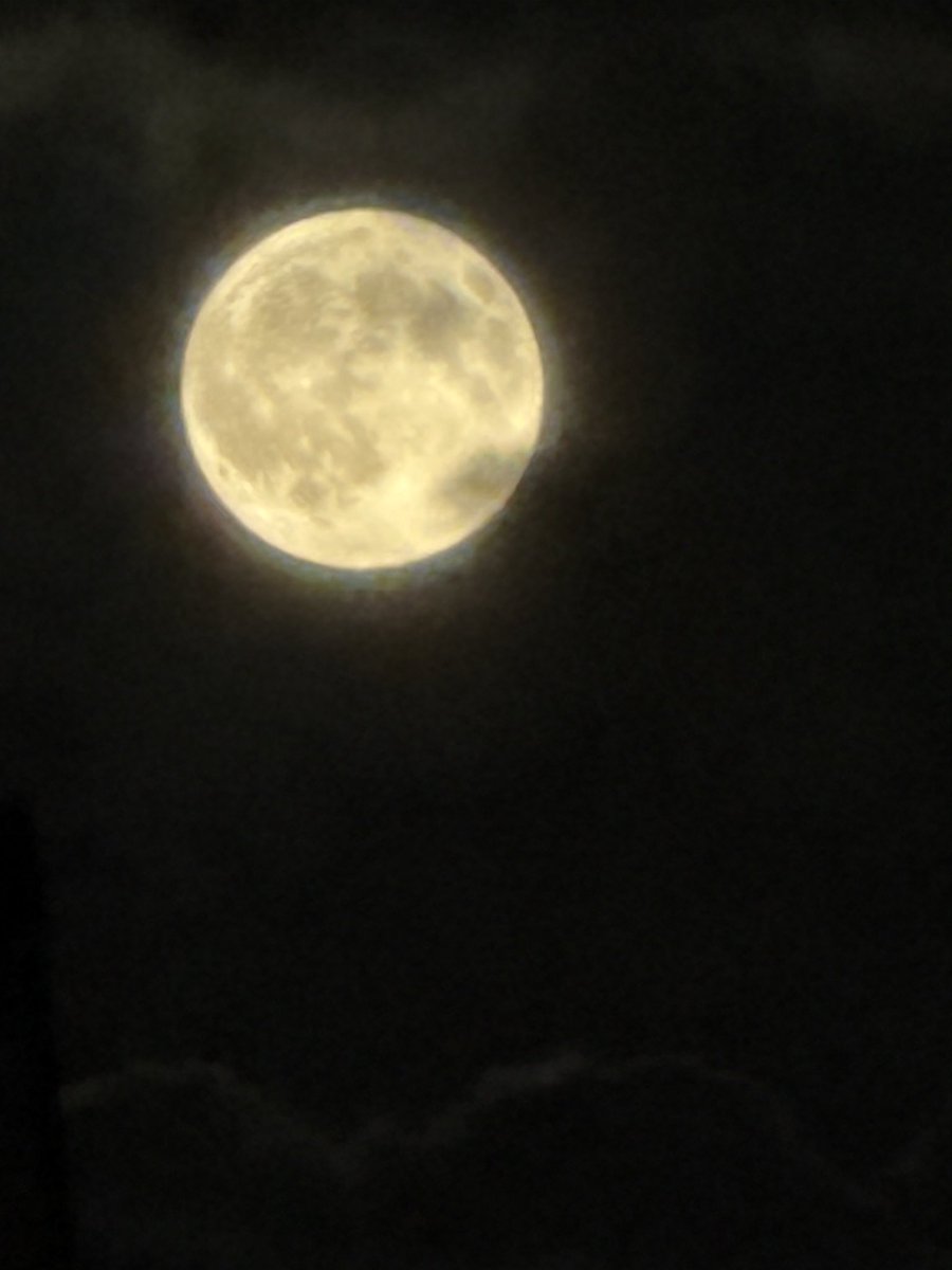 KatKatmarlenee's tweet photo. love a good moon shot 👽 https://t.co/GdRlaYMVqy