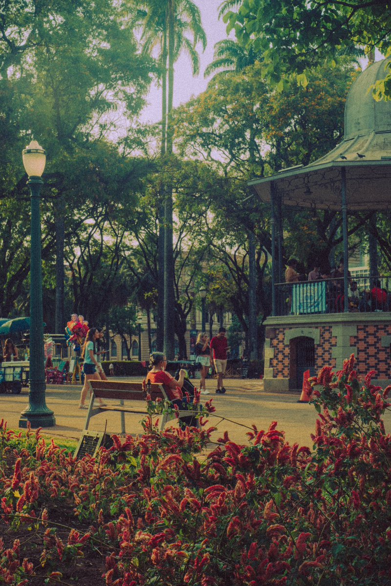 danielxmonteiro's tweet photo. domingo de sol na Praça da Liberdade https://t.co/z0Oe0swZLu