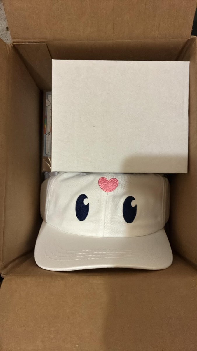 5LPVtuberFan's tweet photo. #PillowDear New Outfit Merch Bundle + Daki has safely ARRIVED!!! ☕️ 🌈 💌 https://t.co/EnP7sg9QAq
