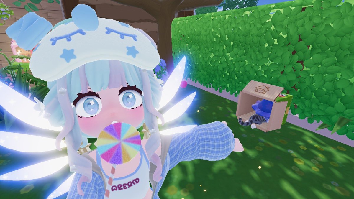 apo_penguin00's tweet photo. 初めておうち入ってくれたඉ  ̫ඉ♡笑
なにこのこかわいい https://t.co/H9QEwLWhQU