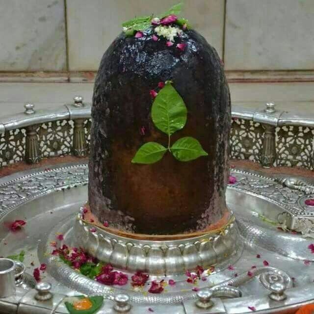 Principalsahab's tweet photo. जय श्री महाकाल विघ्ननाशक https://t.co/LZNhBPXNRI