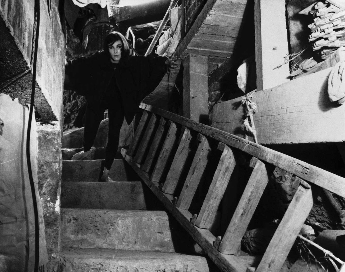revista_unam's tweet photo. 🦇 En 1962 Kati Horna concibió "Historia de un vampiro. Sucedió en Coyoacán", una serie fotográfica protagonizada por la actriz mexicana Beatriz Sheridan. En 24 imágenes, narra la llegada de una vampiresa a una azotea de esa alcaldía. Para el historiador Michel Otayek, la serie refleja la predilección de Horna por la figura simbólica del extranjero, evocada aquí por un vampiro. 

🖋 Paulina González y Paola Uribe
https://t.co/en2j7PXEFx