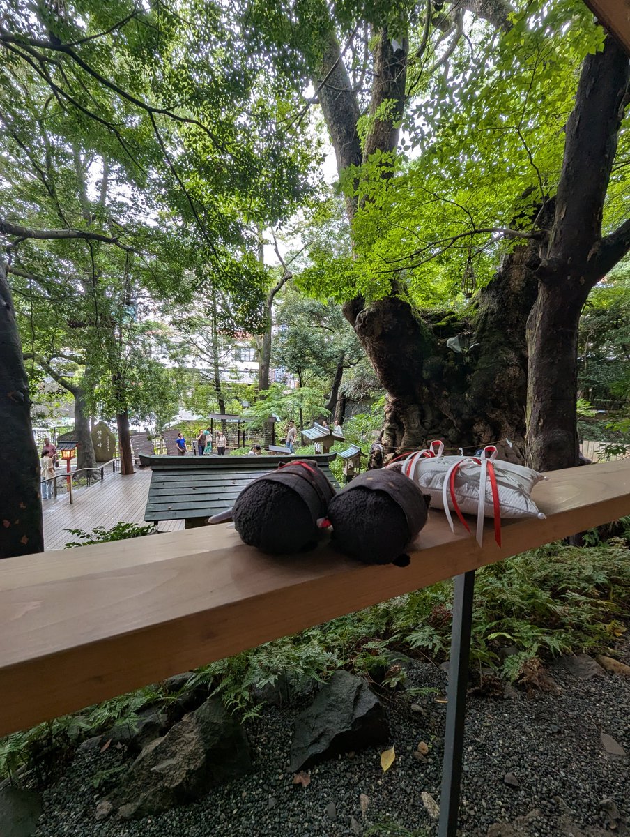 swordlily26's tweet photo. 🙂これ…？あっ…
✨💍💍✨
😐…家主たちが、この日のために。準備をしたそうだ。
🙂…！こ、ころま…ぼく、ぼくのねがいこと…！
😐わかっていると、言ったろう。
…ころのすけ。オレは、キサマを信じているぜ。500年先まで、共に征くぞ！
🙂…！うん。うんッ！！

😭✨😭おめでとう…！👏👏 https://t.co/YvTMP2Tv2I