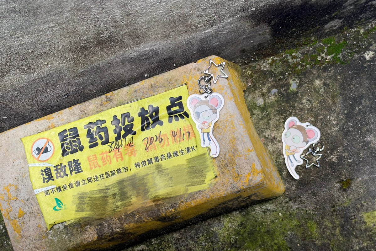 Mousemmmklf's tweet photo. 我抓到兩隻老鼠，他們看起來不舒服，餵飽飽了老鼠藥 https://t.co/64ZMZC4t7C