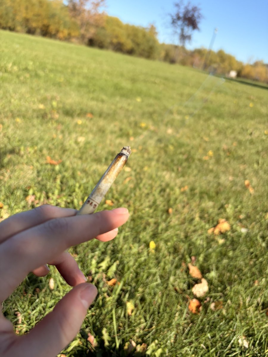 corruptyion's tweet photo. @milizestoy Me but a joint in a field https://t.co/ZvqQyNZ3IM