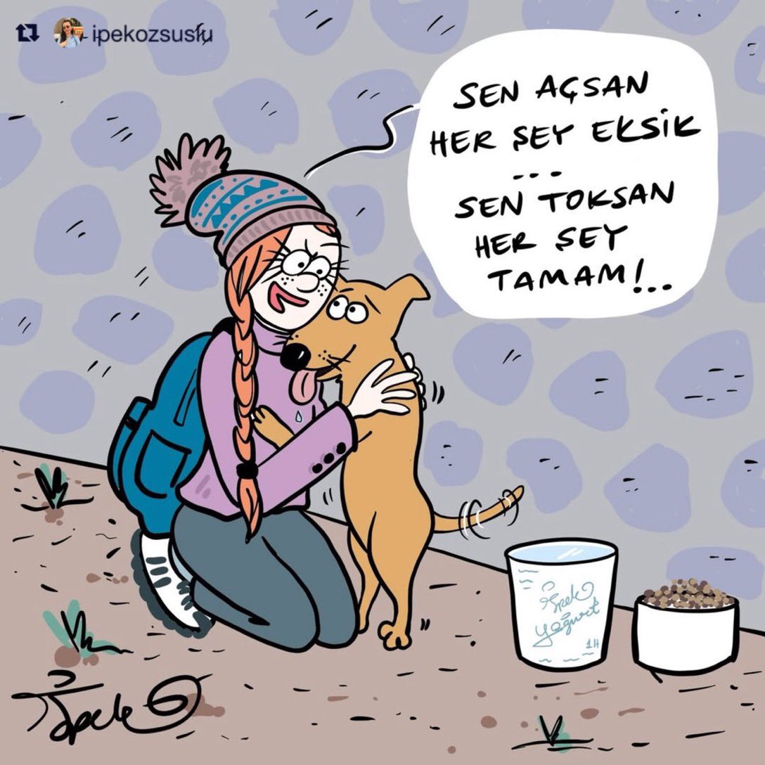 bayanyani's tweet photo. "Ekim sonunda sokak hayvanlarının tamamını toplanacakmış.” 
#SokakHayvanlarıSahipsizDeğil https://t.co/sXmCih3iVk