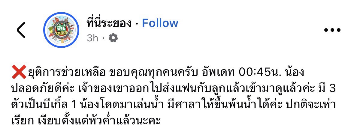 iamcutedonghae's tweet photo. สรุป นางโดดมาเล่นน้ำ จบ https://t.co/gmkv72CuBz