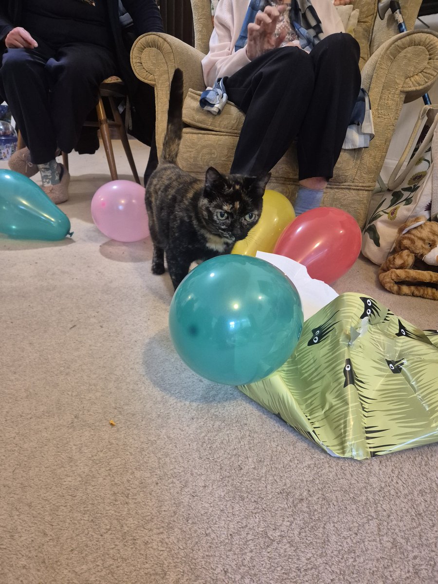CleeWeezy's tweet photo. i am atending the Babby's bitthday patty becaus i am actually.  so Kind. She is to yearce old https://t.co/3jZdt30rVw