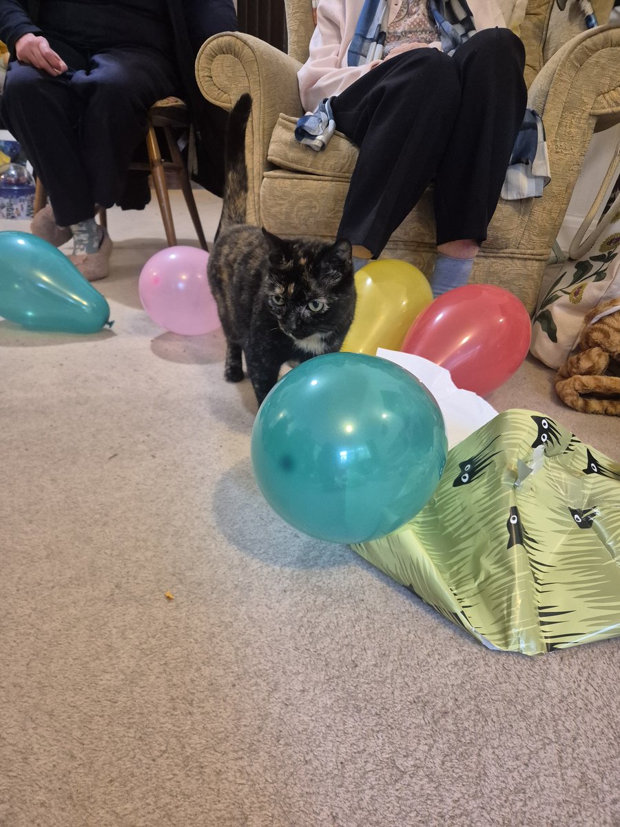 CleeWeezy's tweet photo. i am atending the Babby's bitthday patty becaus i am actually.  so Kind. She is to yearce old https://t.co/3jZdt30rVw