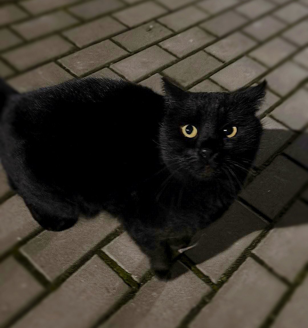 TeyAmela's tweet photo. Te oczy widzą wszystko.. https://t.co/KMWNE3iaRb