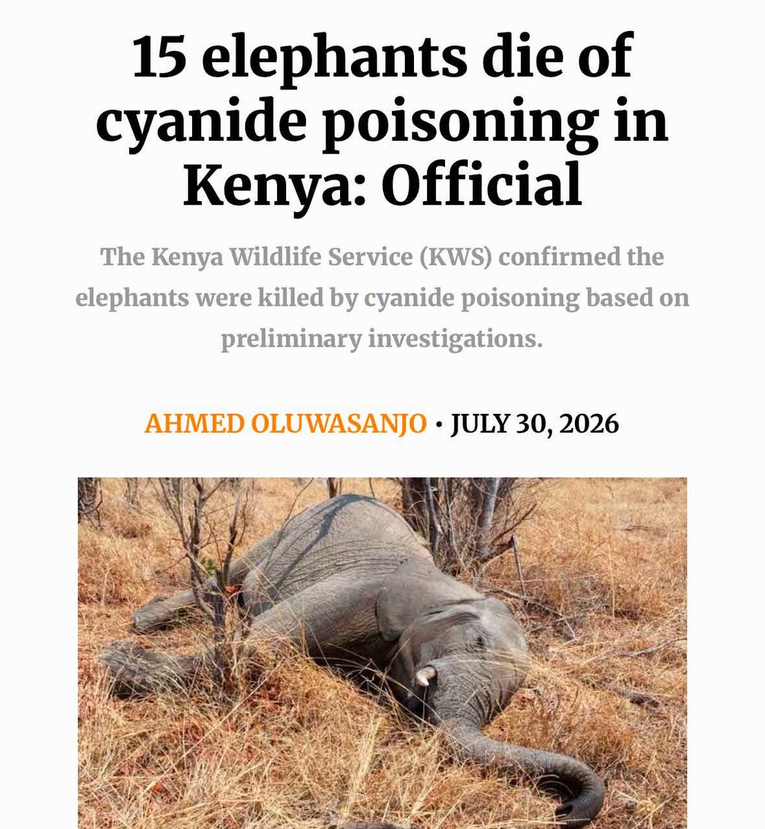antony_omari's tweet photo. @jeanmackenzie The mining activities in Kenya linked to wildlife https://t.co/tl6GBIAFpi