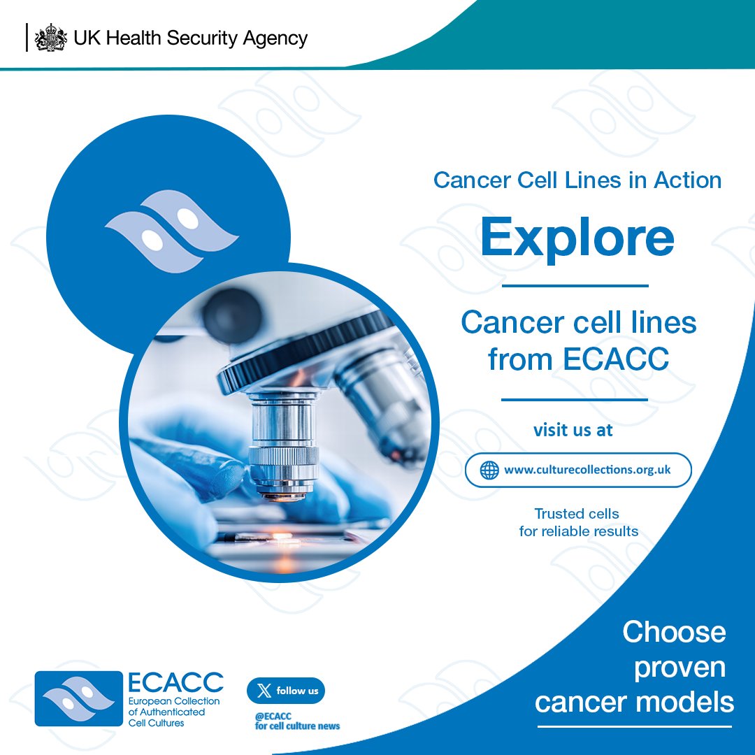 ECACC's tweet photo. DLRP 20082610: A metastatic squamous cell lung carcinoma cell line with multiple chromosomal abnormalities, supporting drug resistance, anticancer therapy, and cancer genetics research. Find out more: https://t.co/ilRa7cWwU7 #CellLinesInAction #ECACC #UKHSA https://t.co/rT8PHtZV0u