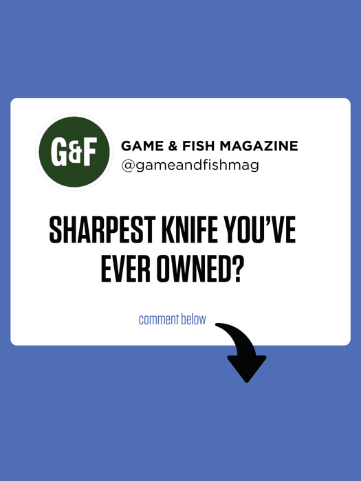OUTDChannel's tweet photo. Every hunter has their preferred way to sharpen a knife. What method gives you the best edge, and why?

Here's our take via @GameAndFishMag: https://t.co/Qcet8tpAdO https://t.co/qNnt635eef
